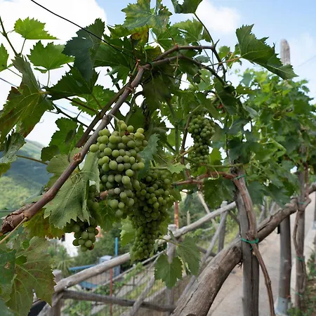 Prima Luce * Vico Equense