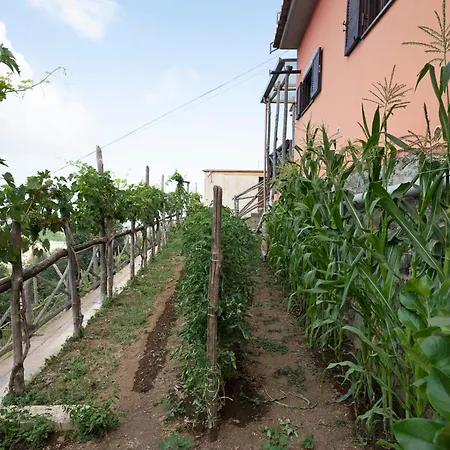 Prima Luce Apartamento
