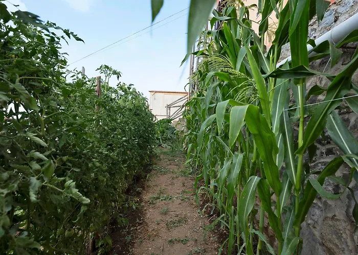 Apartamento Prima Luce *