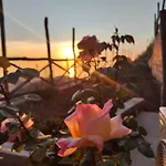 Prima Luce *