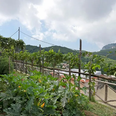 Prima Luce Apartment Vico Equense