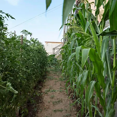 Apartment Prima Luce *