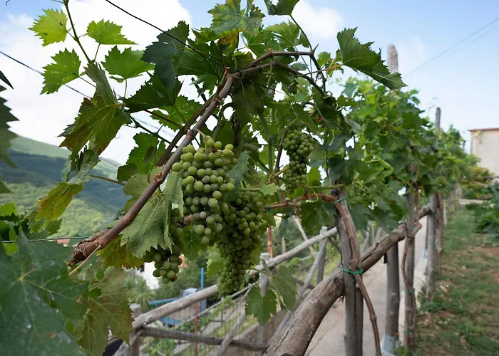 Prima Luce * 비코에쿠엔세