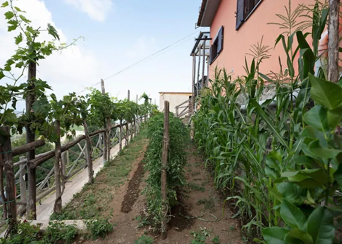 Prima Luce Apartment